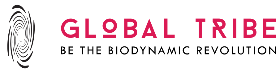 Global Tribe Activities